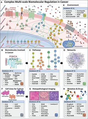 Navigating Multi-Scale Cancer Systems Biology Towards Model-Driven Clinical Oncology and Its Applications in Personalized Therapeutics